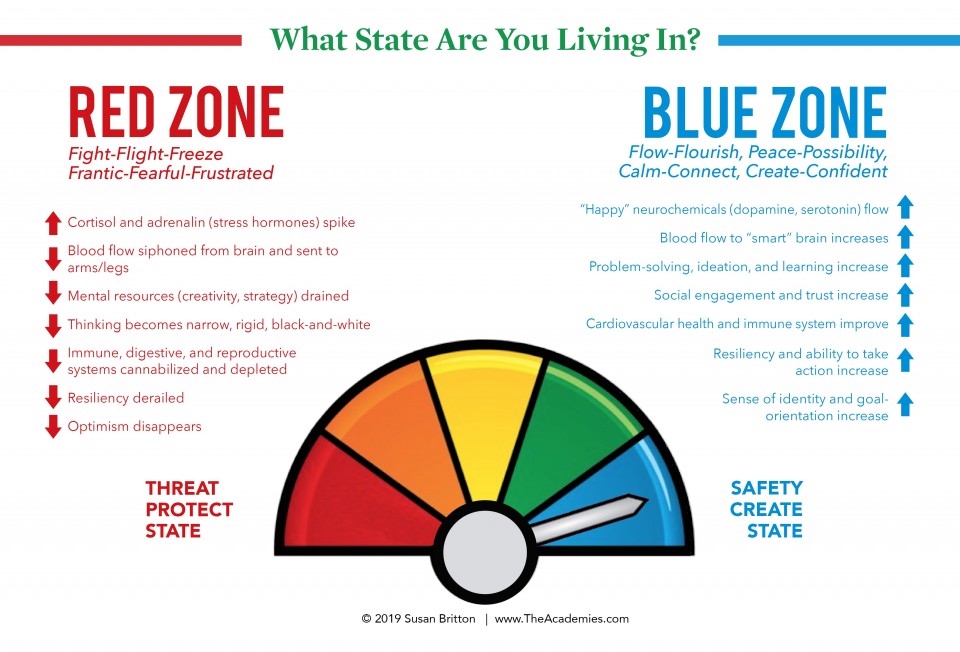 เทคนิคการจัดการความเครียดแบบ Blue Zones - Boss Bureau